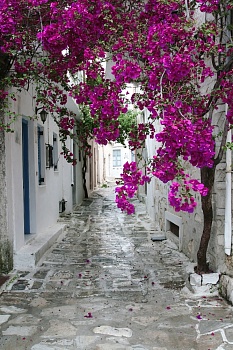 Улица в Греции 4