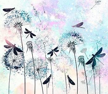 Одуванчики 13