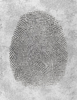Отпечаток пальца