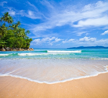 Тропический пляж 6