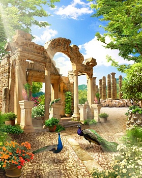 Улочка с павлинами