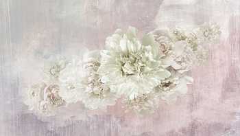 Пионы на светлом фоне 1