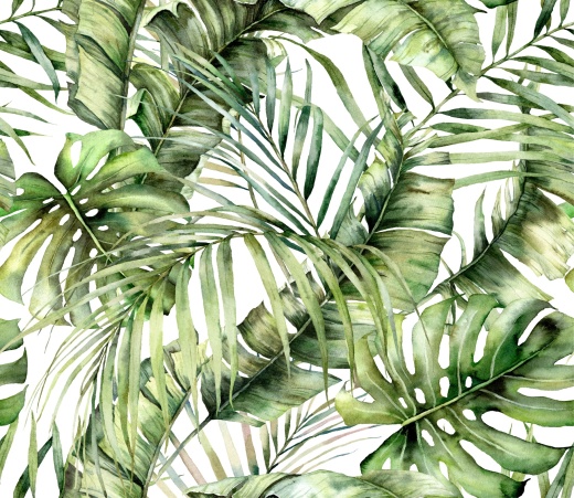 Пальмовые листья