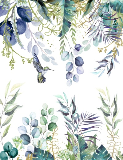 Колибри в тропическом лесу