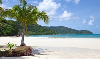 Тропический пляж 5