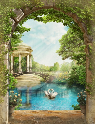 Пруд с лебедями