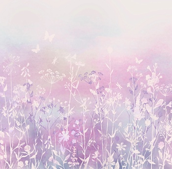 Полевые цветы 3