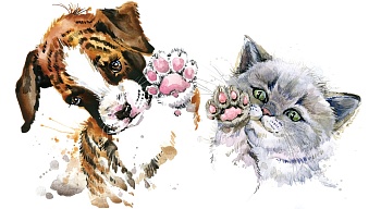 Котенок и щенок 1