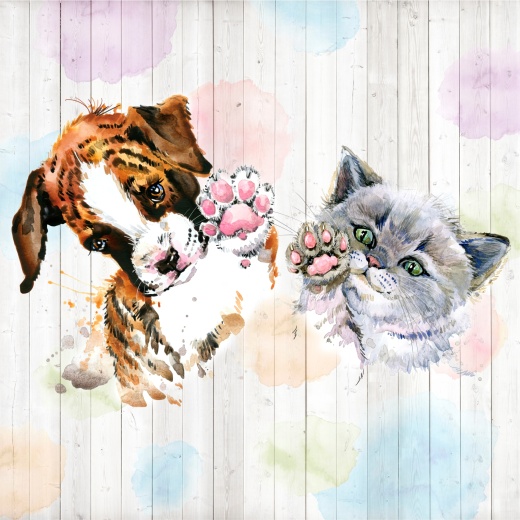 Котенок и щенок