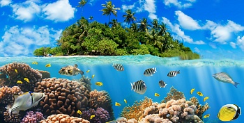 Остров в море