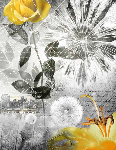 Цветы и город