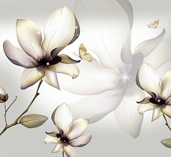 Цветы магнолии 1