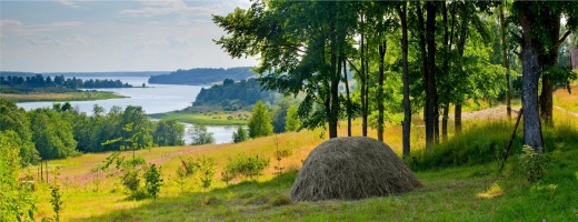 Летний пейзаж