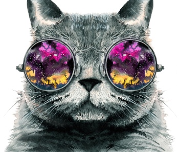 Кот в очках 4