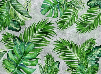 Пальмовые листья 5