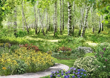 Березовая роща 3