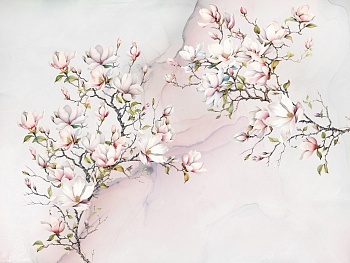 Цветы магнолии 3