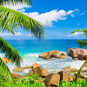 Морской берег