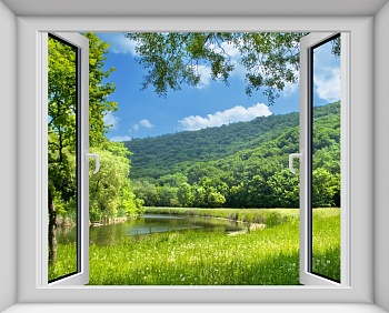 Вид из окна летний пейзаж