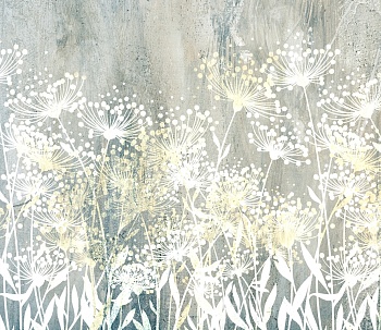 Одуванчики 12