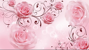 Розовые розы 5