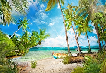 Пляж с пальмами 21