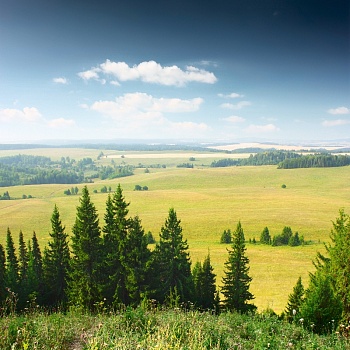 Летний пейзаж 1