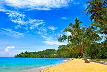 Тропический пляж