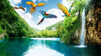 Водопад с попугаями 1