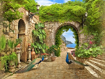 Дворик с павлинами