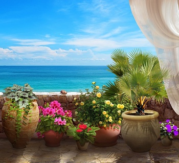 Вид на море 13