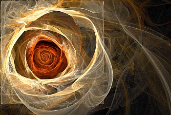 Абстрактная роза