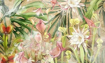 Экзотические цветы