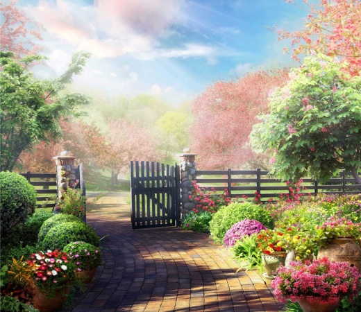 Парк с цветами