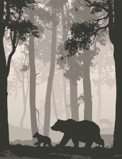 Медведи в лесу