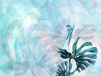 Колибри в тропиках